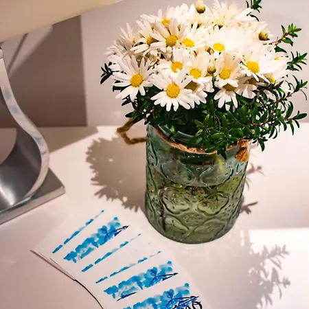 T'amo Alojamento de Acomodação e Pequeno-almoço